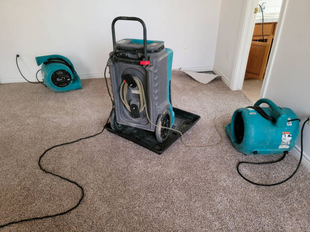 Best Local water damage restoration  in Crossville, TN