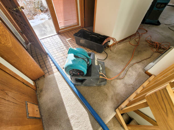 Best Water damage restoration mold remediation  in Crossville, TN
