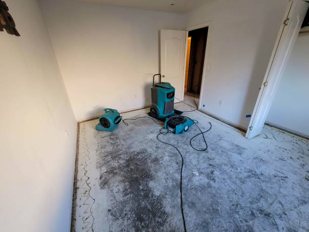Best Water damage restoration process  in Crossville, TN