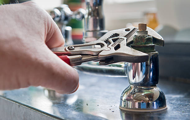 Best Professional water damage repair  in Crossville, TN
