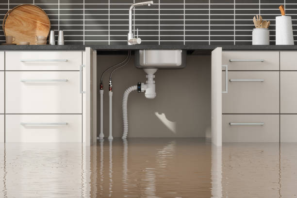 Best Professional water damage repair  in Crossville, TN