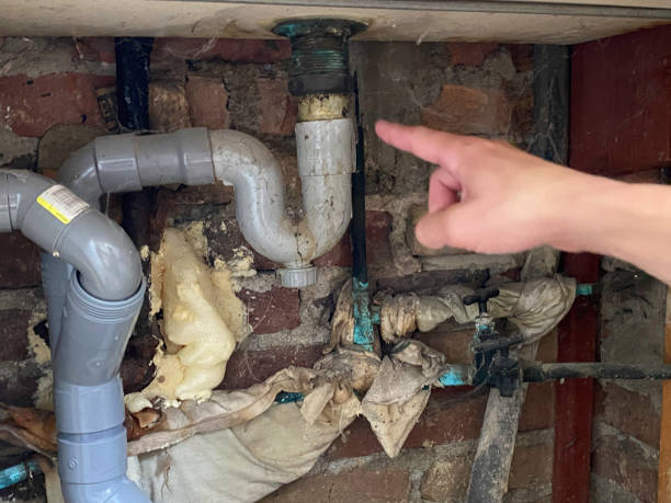 Best Basement water damage restoration  in Crossville, TN