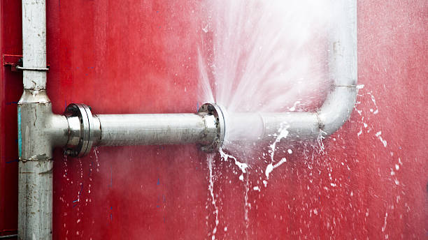 Best Mold removal after water damage  in Crossville, TN